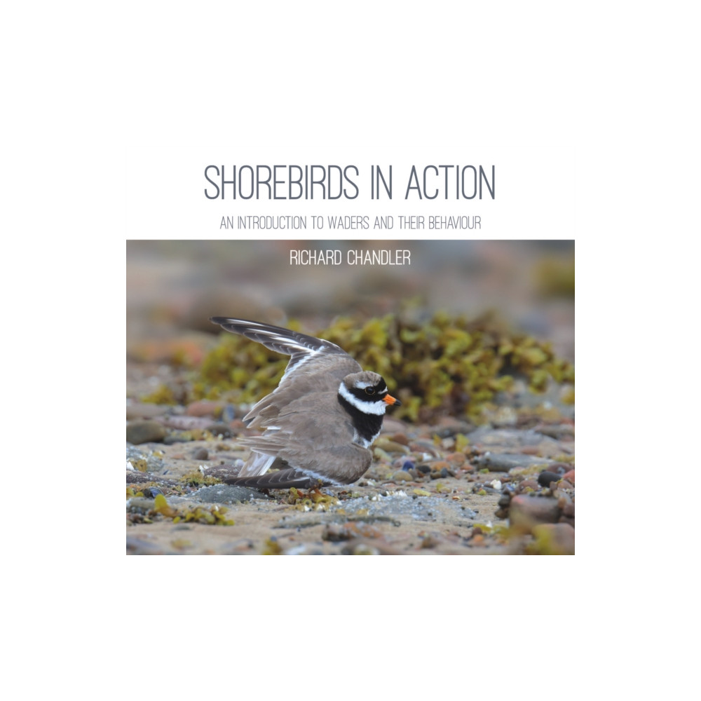 Shorebirds in Action (häftad, eng)
