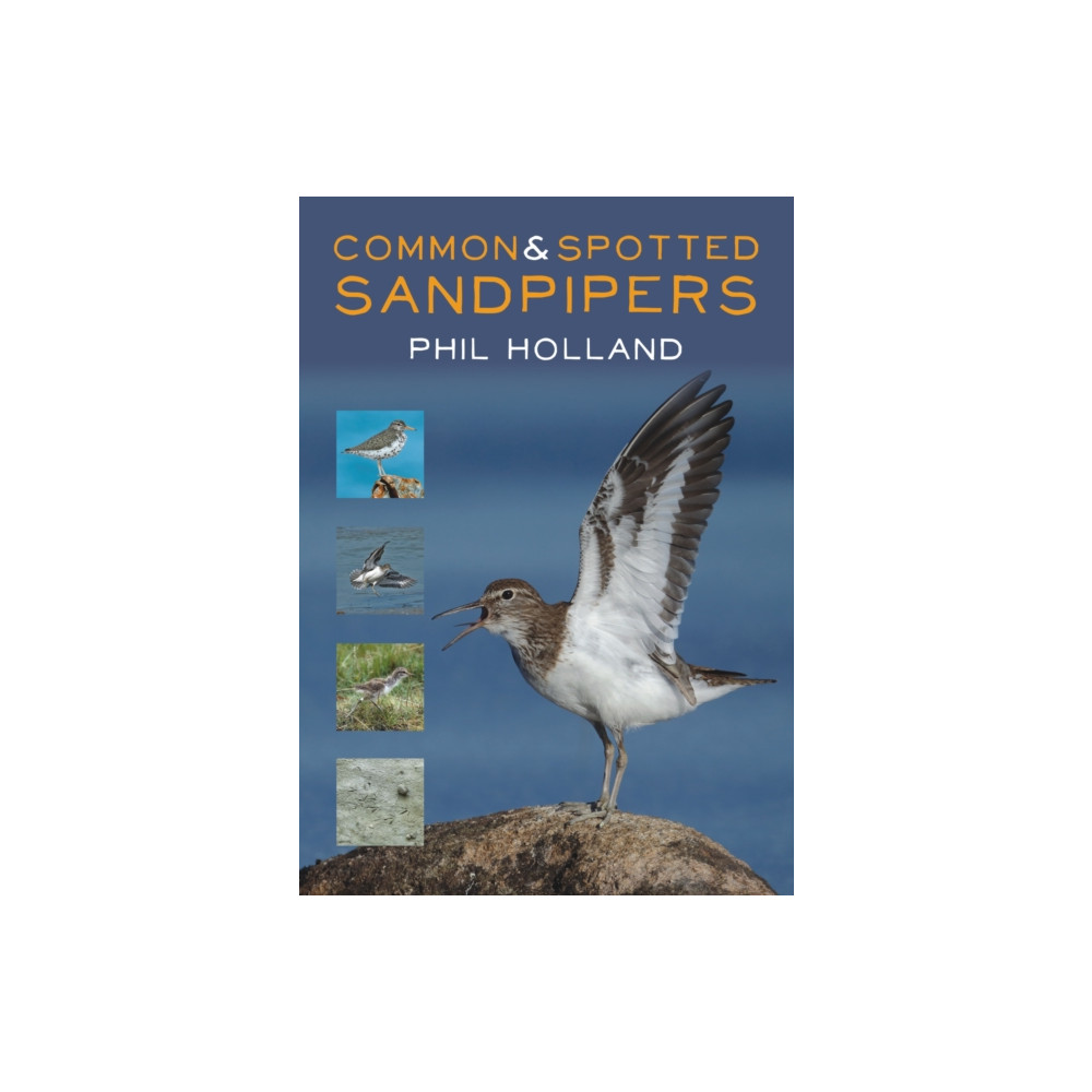 Common and Spotted Sandpipers (häftad, eng)