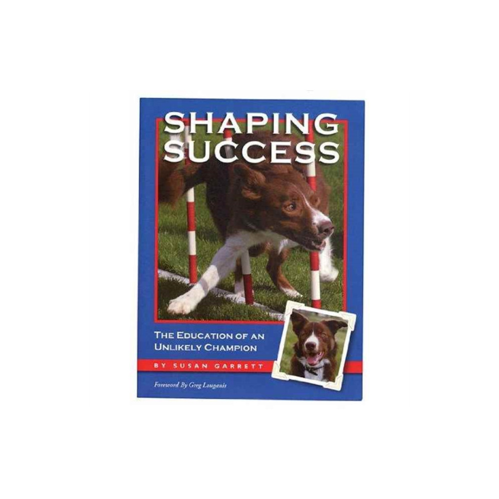 Shaping Success (häftad, eng)
