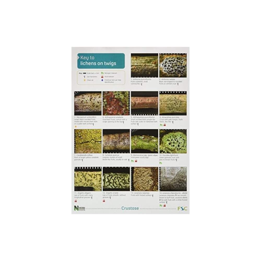 A Key to Lichens on Twigs (häftad, english) Field Studies Council