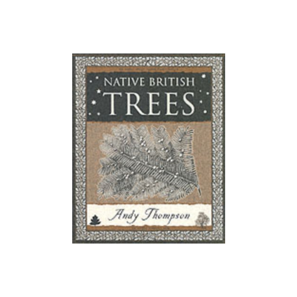 Native British Trees (häftad, english) Wooden Books