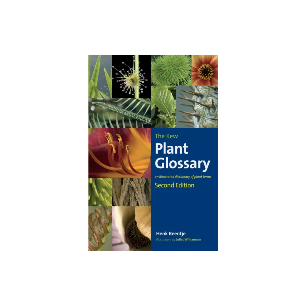 Kew Plant Glossary, The (häftad, eng)