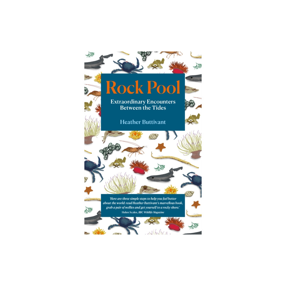 Rock Pool (häftad, eng)