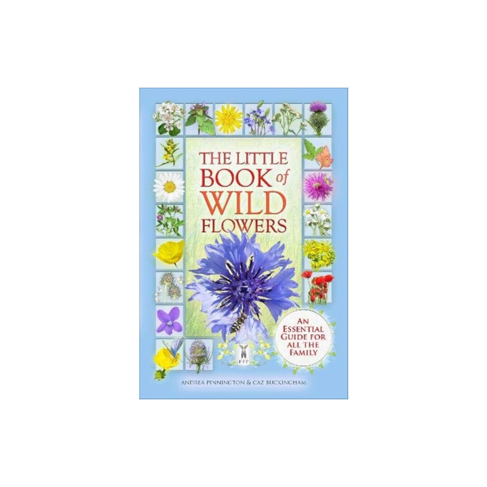 The Little Book of Wild Flowers (häftad, english) Fine Feather Press Ltd