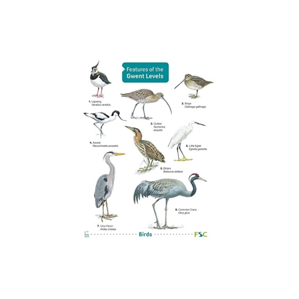 Features of the Gwent Levels (häftad, english) Field Studies Council