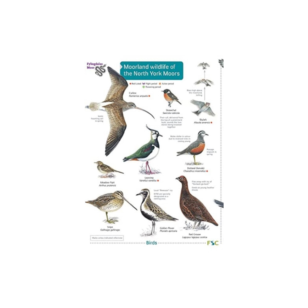 Moorland wildlife of the North York Moors (häftad, english) Field Studies Council