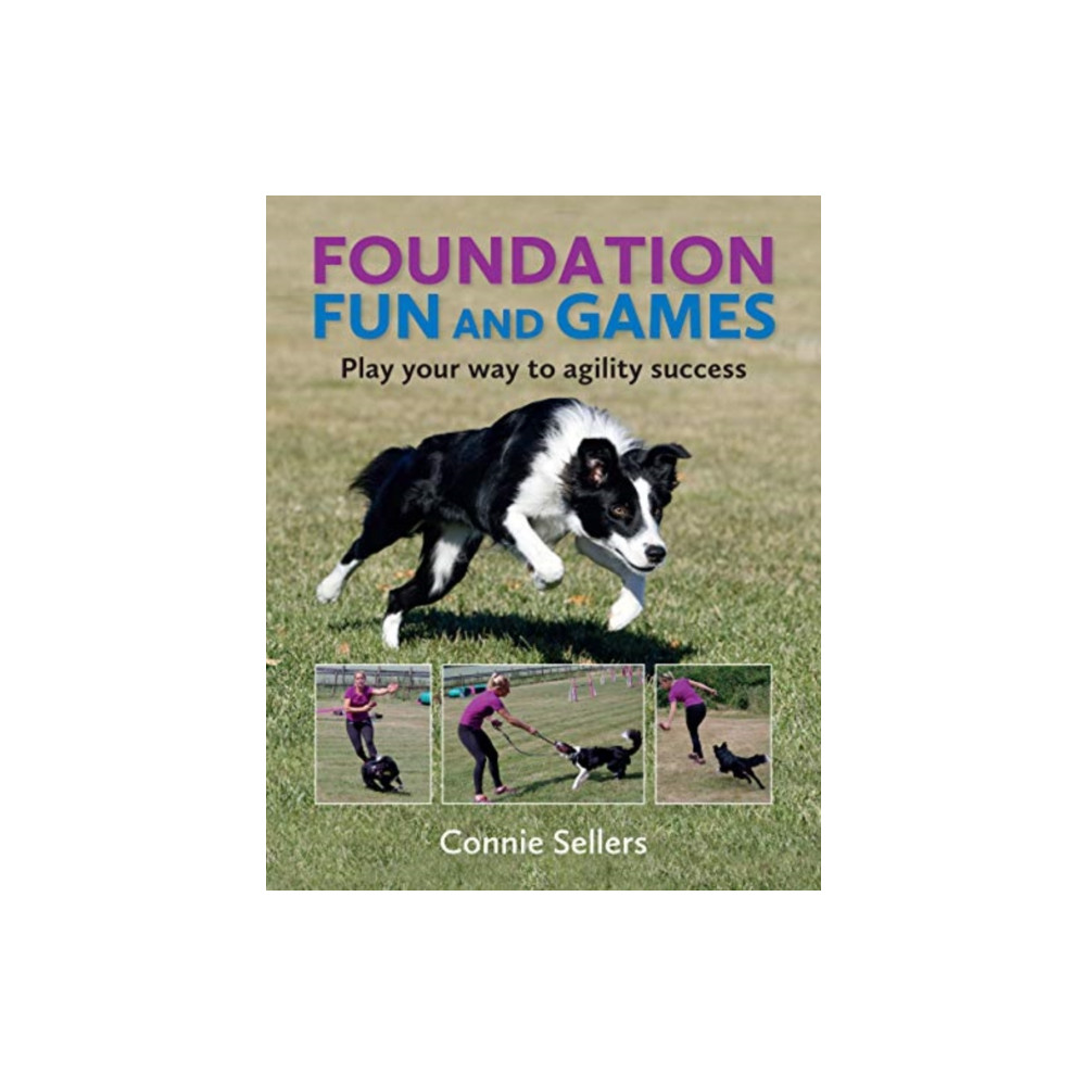 Foundation Fun And Games (häftad, english) Corpus Publishing Limited