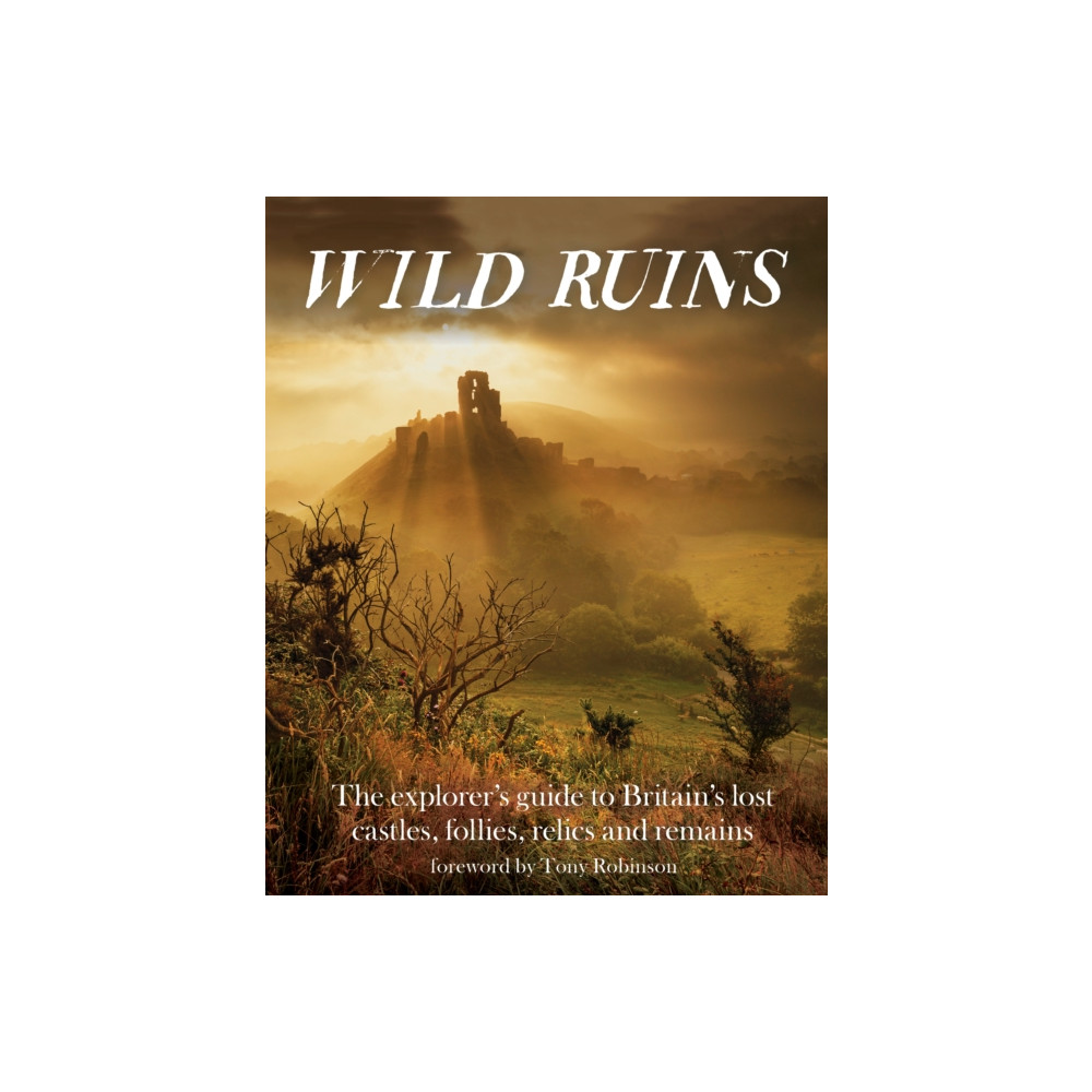 Wild Ruins (häftad, english) Wild Things Publishing Ltd