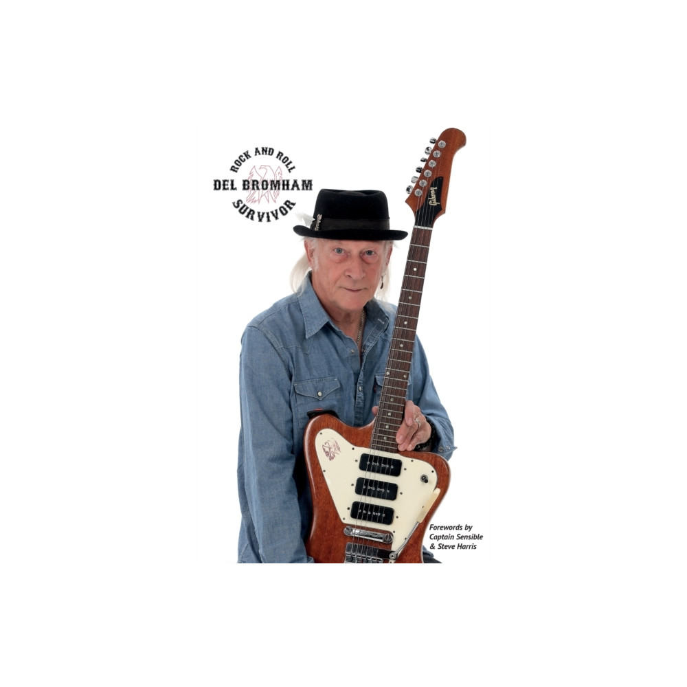 Rock and Roll Survivor (häftad, english) Wymer Publishing