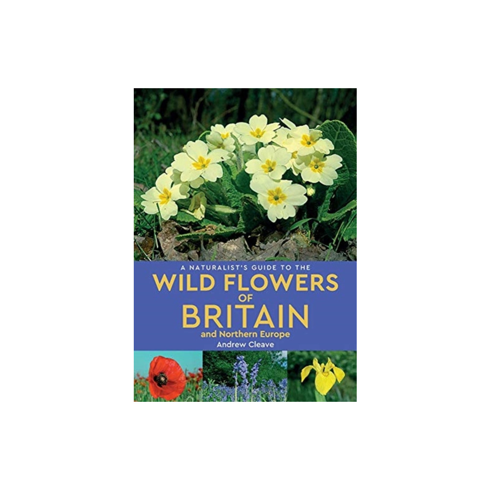 A Naturalist's Guide to the Wild Flowers of Britain and Northern Europe (2nd edition) (häftad, english) John Beaufoy Publishing Ltd