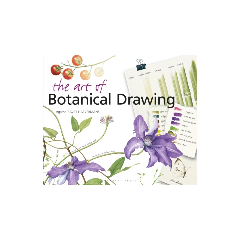 The Art of Botanical Drawing (häftad, english) Bloomsbury Publishing PLC