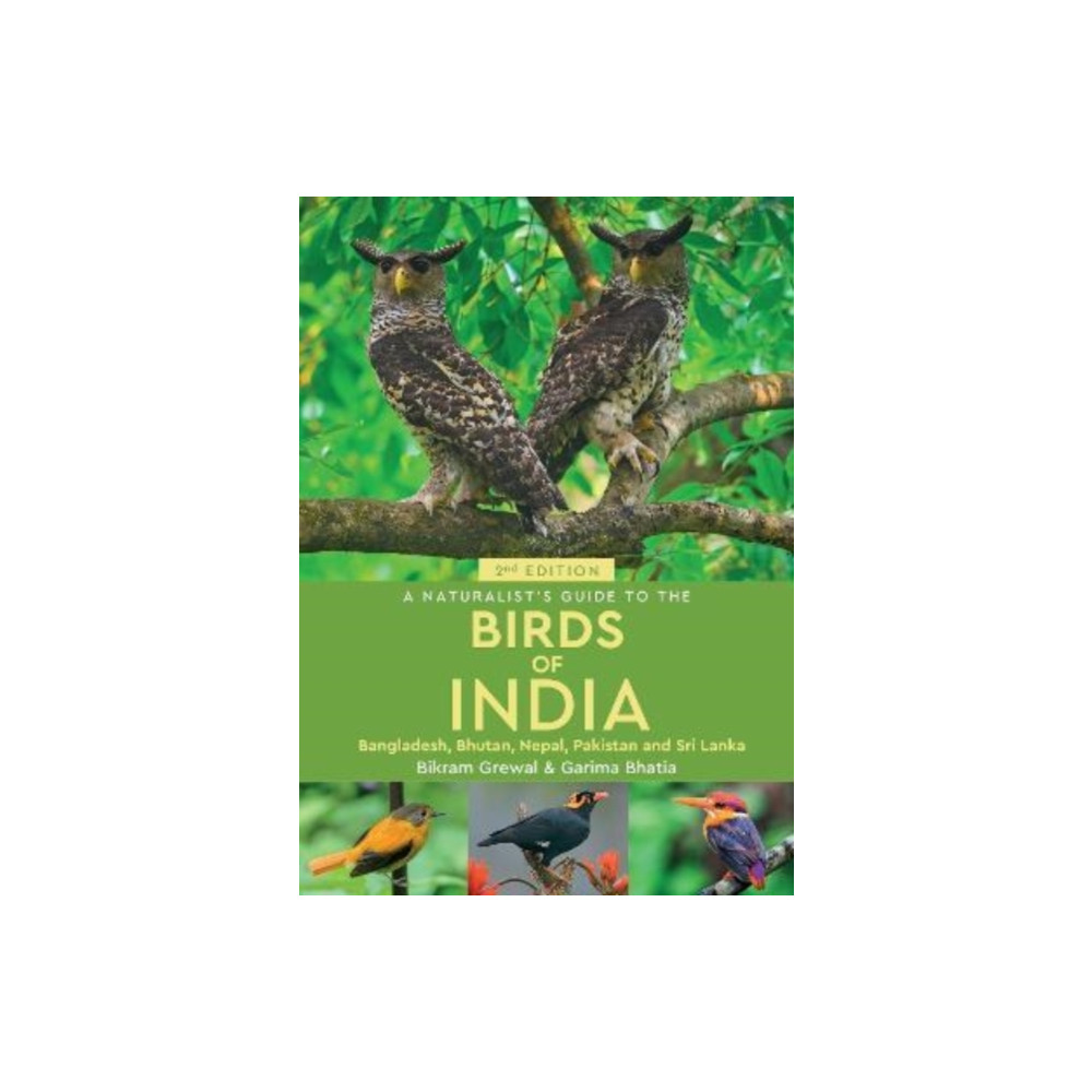A Naturalist's Guide to the Birds of India (häftad, english) John Beaufoy Publishing Ltd
