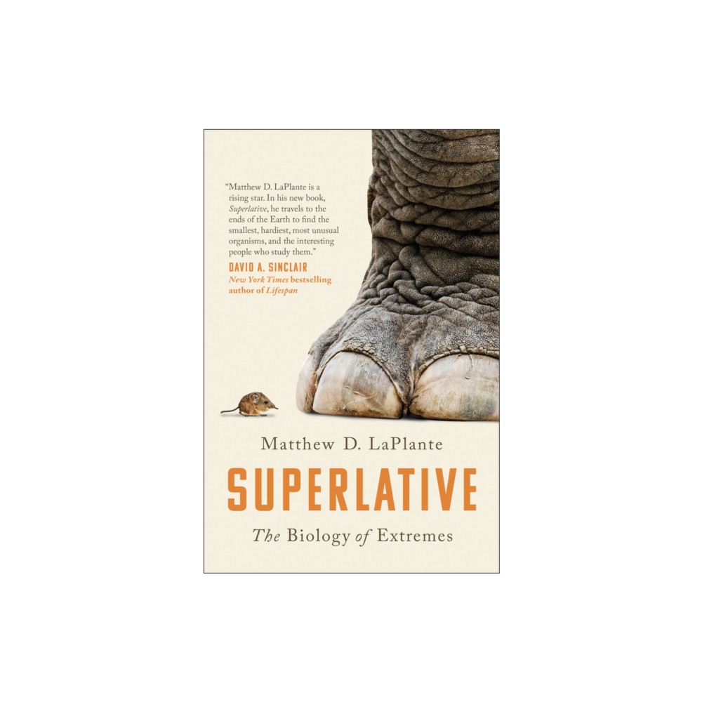 Superlative (häftad, eng)