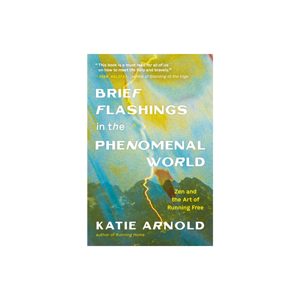 Brief Flashings in the Phenomenal World (häftad, english) Parallax Press