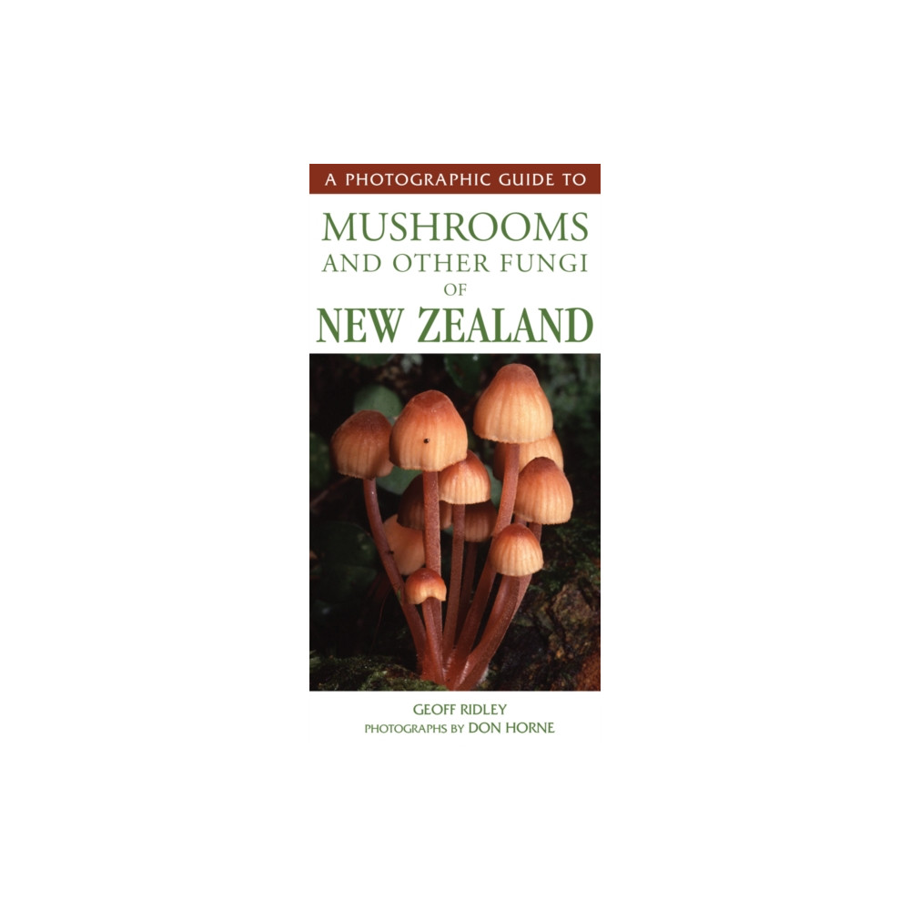 Photographic Guide to Mushrooms & Other Fungi (häftad, english) Upstart Press Ltd