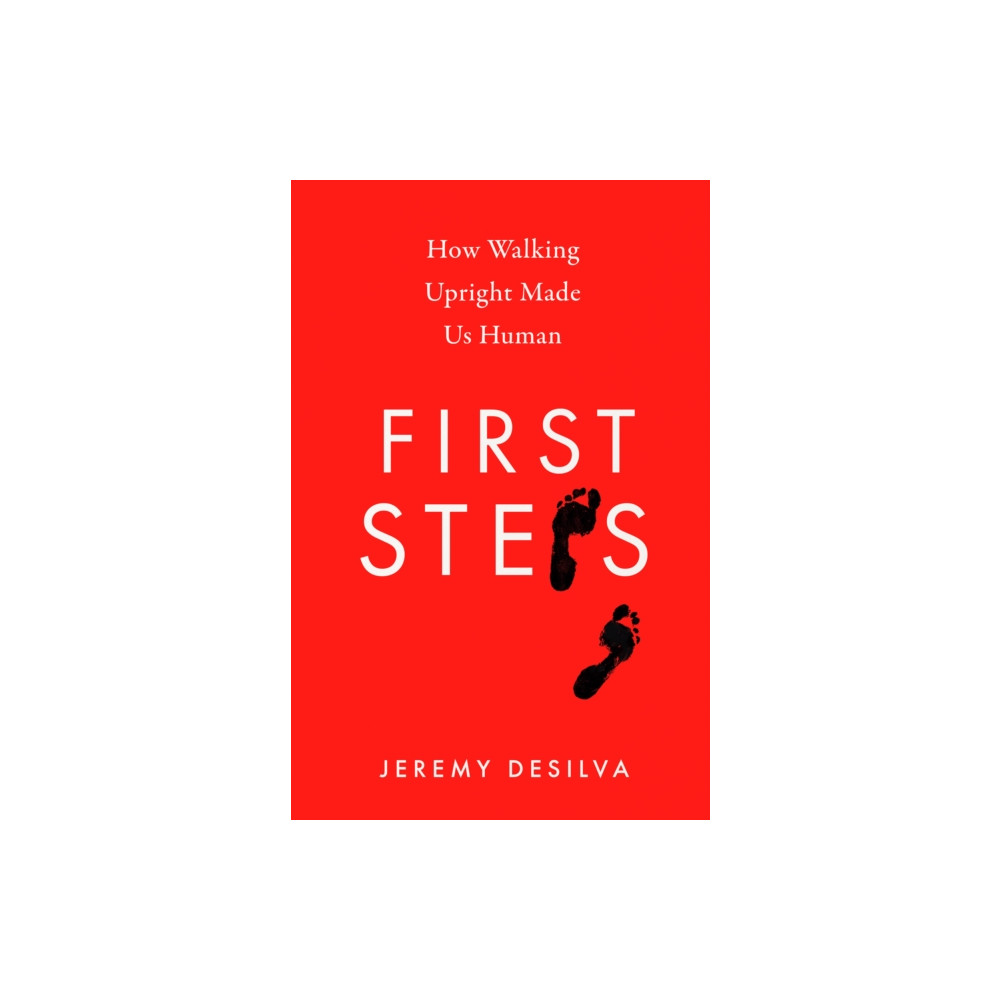 First Steps (inbunden, english) HarperCollins Publishers