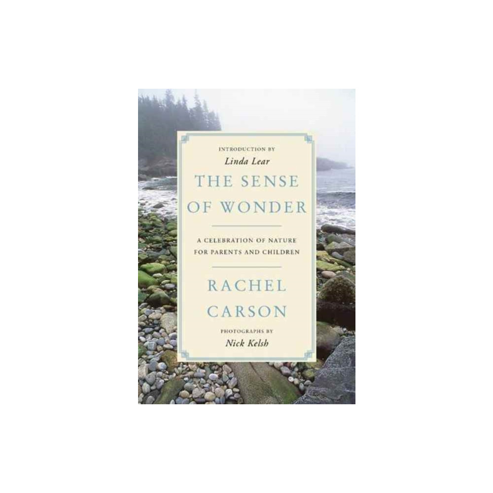 The Sense of Wonder (häftad, english) Harpercollins publishers inc