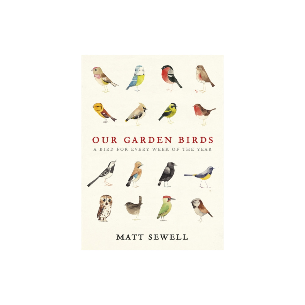 Our Garden Birds (inbunden, english) Ebury Publishing