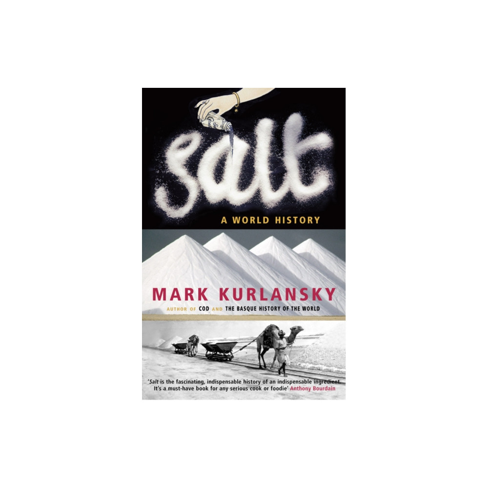 Salt (häftad, english) Vintage Publishing