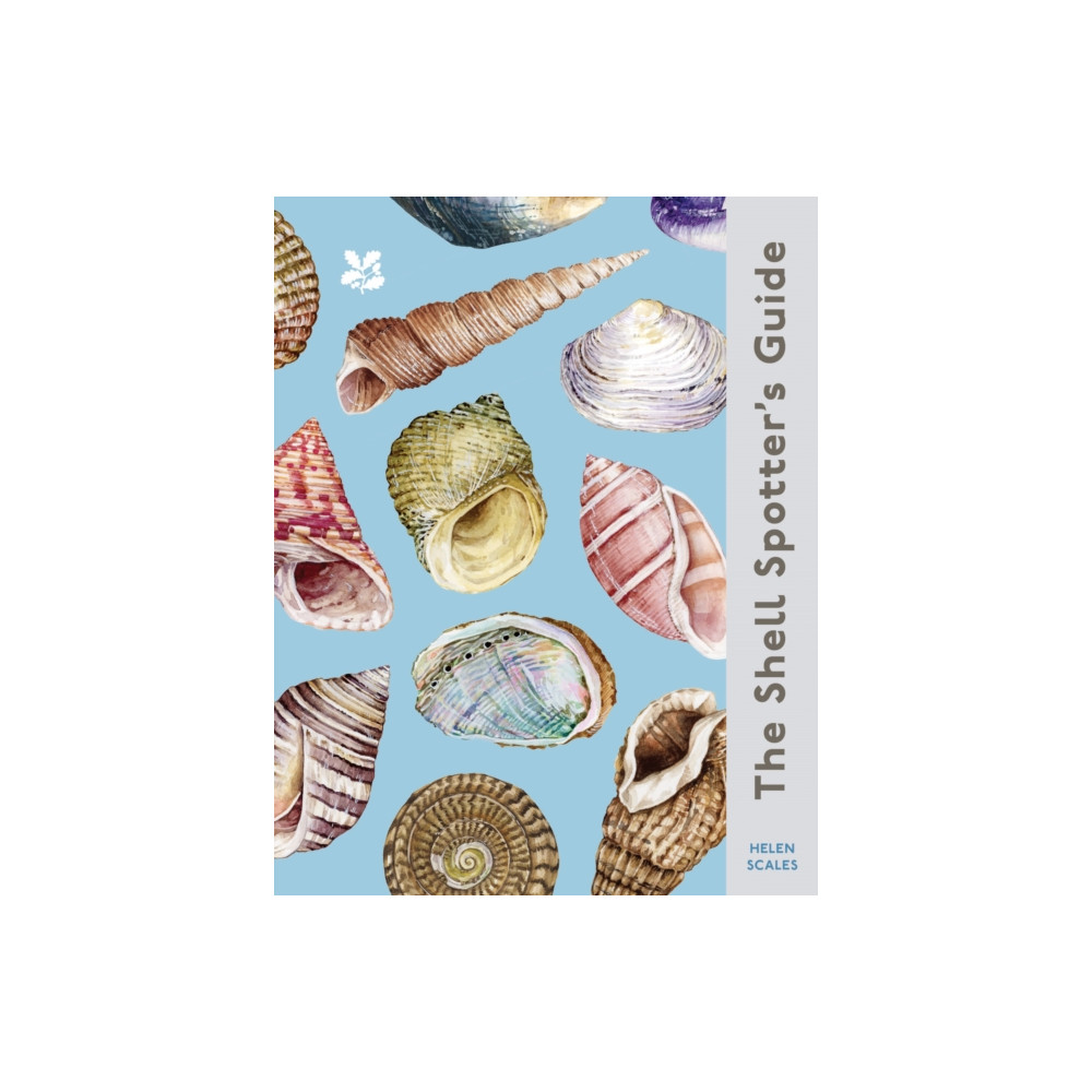 The Shell Spotter’s Guide (inbunden, english) HarperCollins Publishers