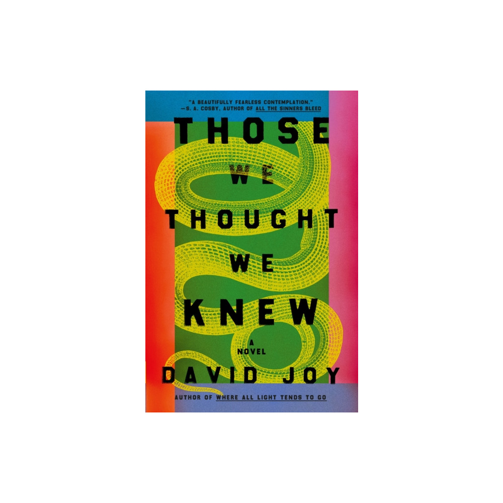 Those We Thought We Knew (häftad, english) Headline Publishing Group