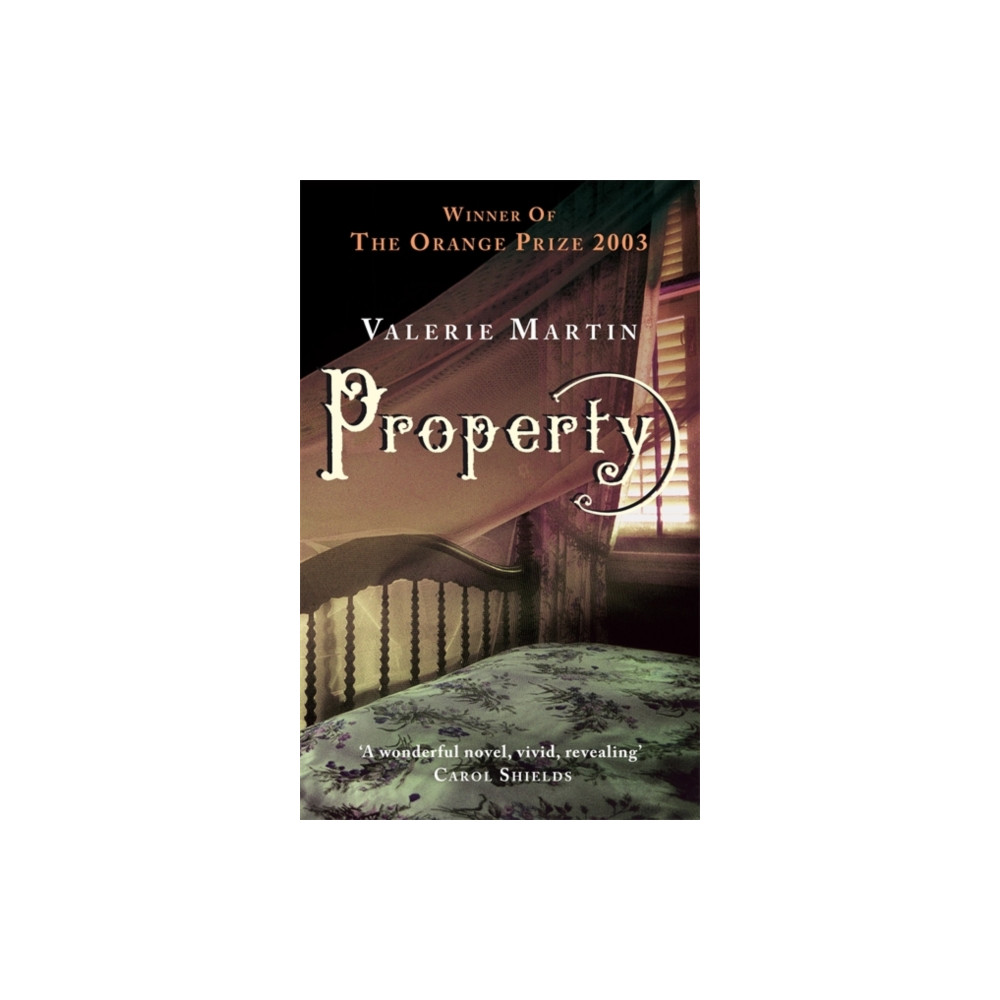 Property (häftad, english) Little, Brown Book Group