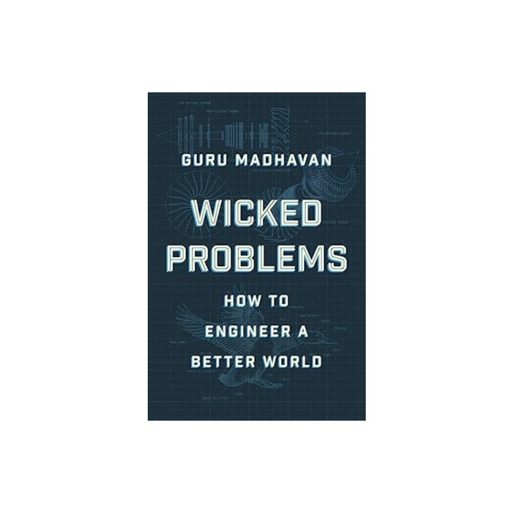 Wicked Problems (inbunden, english) WW Norton & Co