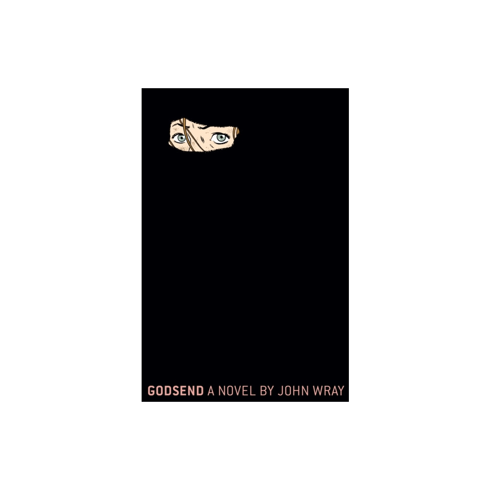 Godsend (inbunden, english) Farrar, Straus and Giroux