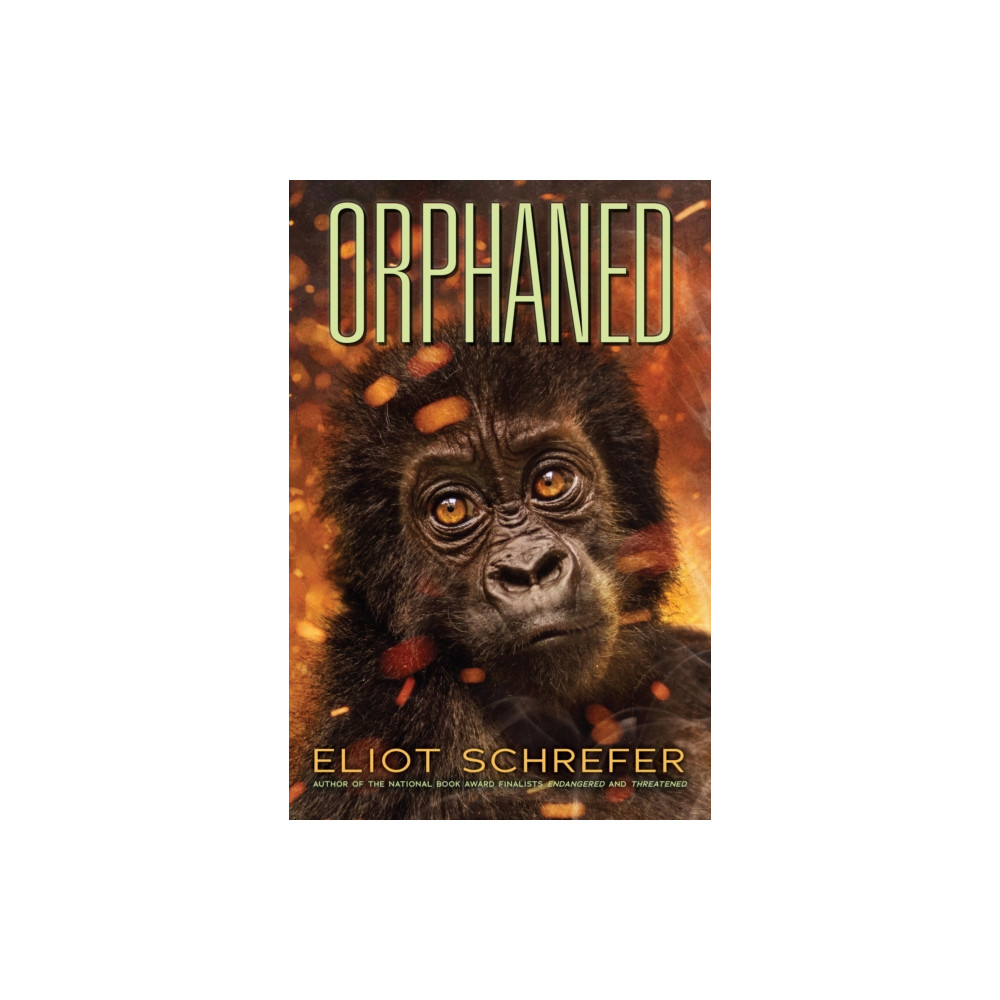 Orphaned (Ape Quartet #4) (inbunden, english) Scholastic Inc.