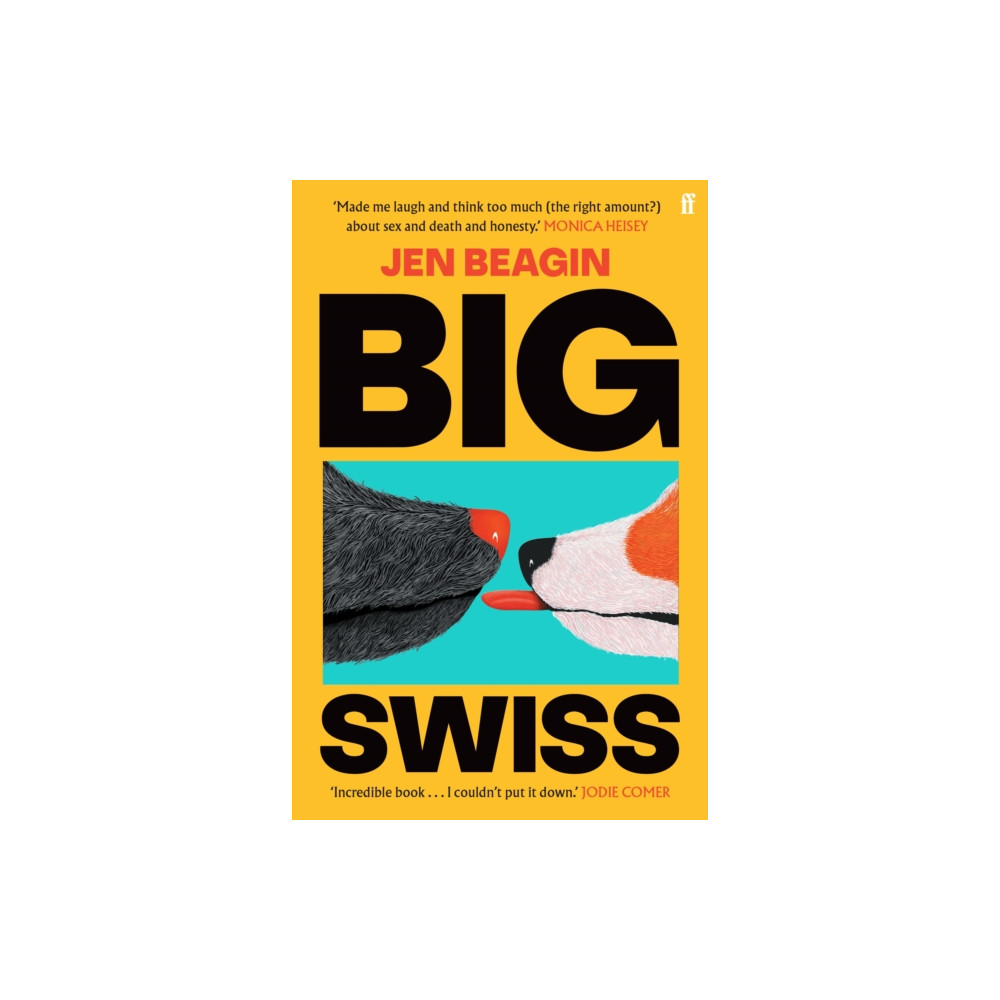 Big Swiss (häftad, english) Faber & Faber