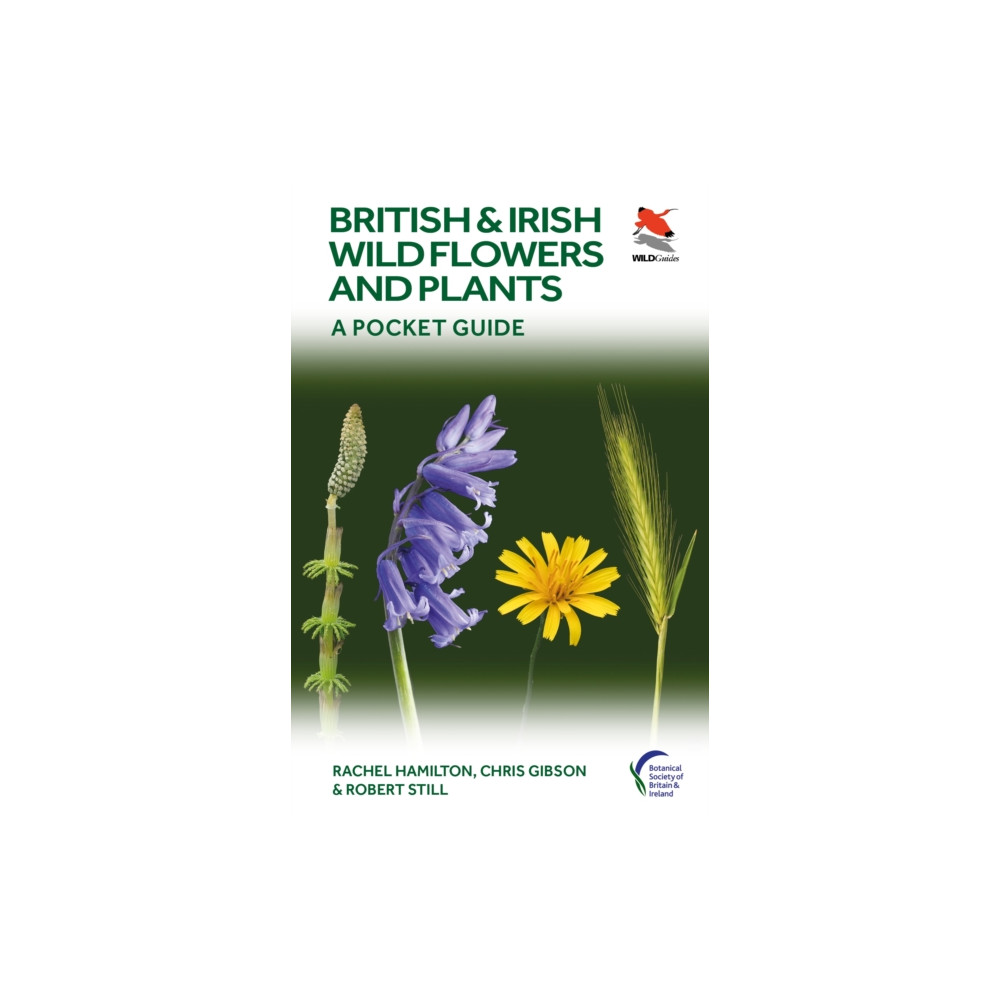 British and Irish Wild Flowers and Plants (häftad, english) Princeton University Press