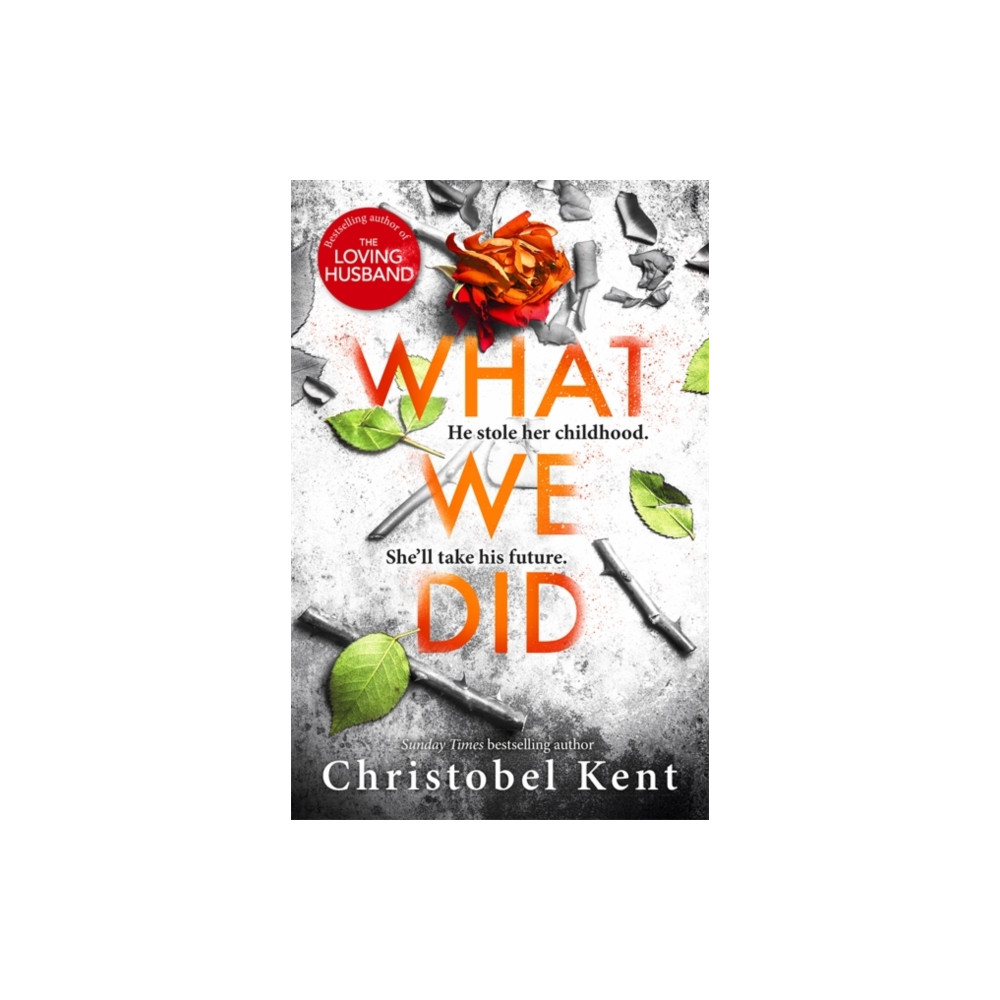 What We Did (inbunden, english) Little, Brown Book Group