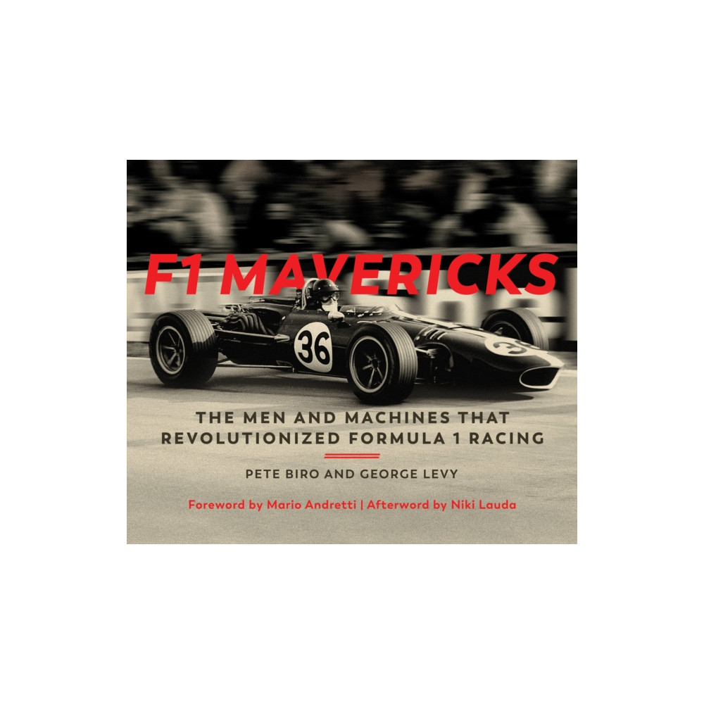 F1 Mavericks (inbunden, english) Quarto Publishing Group USA Inc