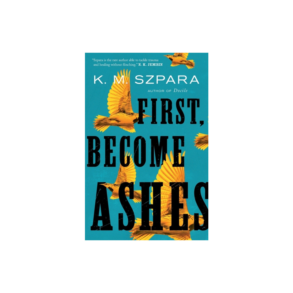 First, Become Ashes (häftad, english) St Martin's Press