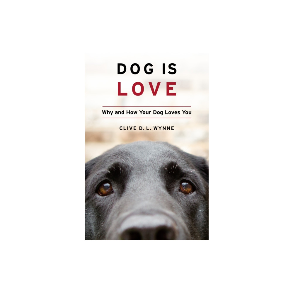 Dog Is Love (inbunden, english) HarperCollins