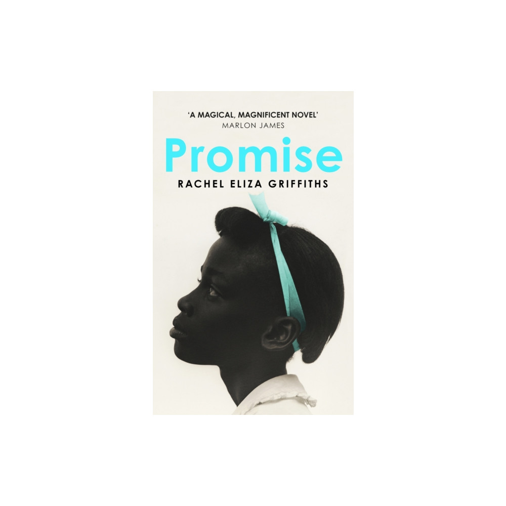 Promise (häftad, english) John Murray Press