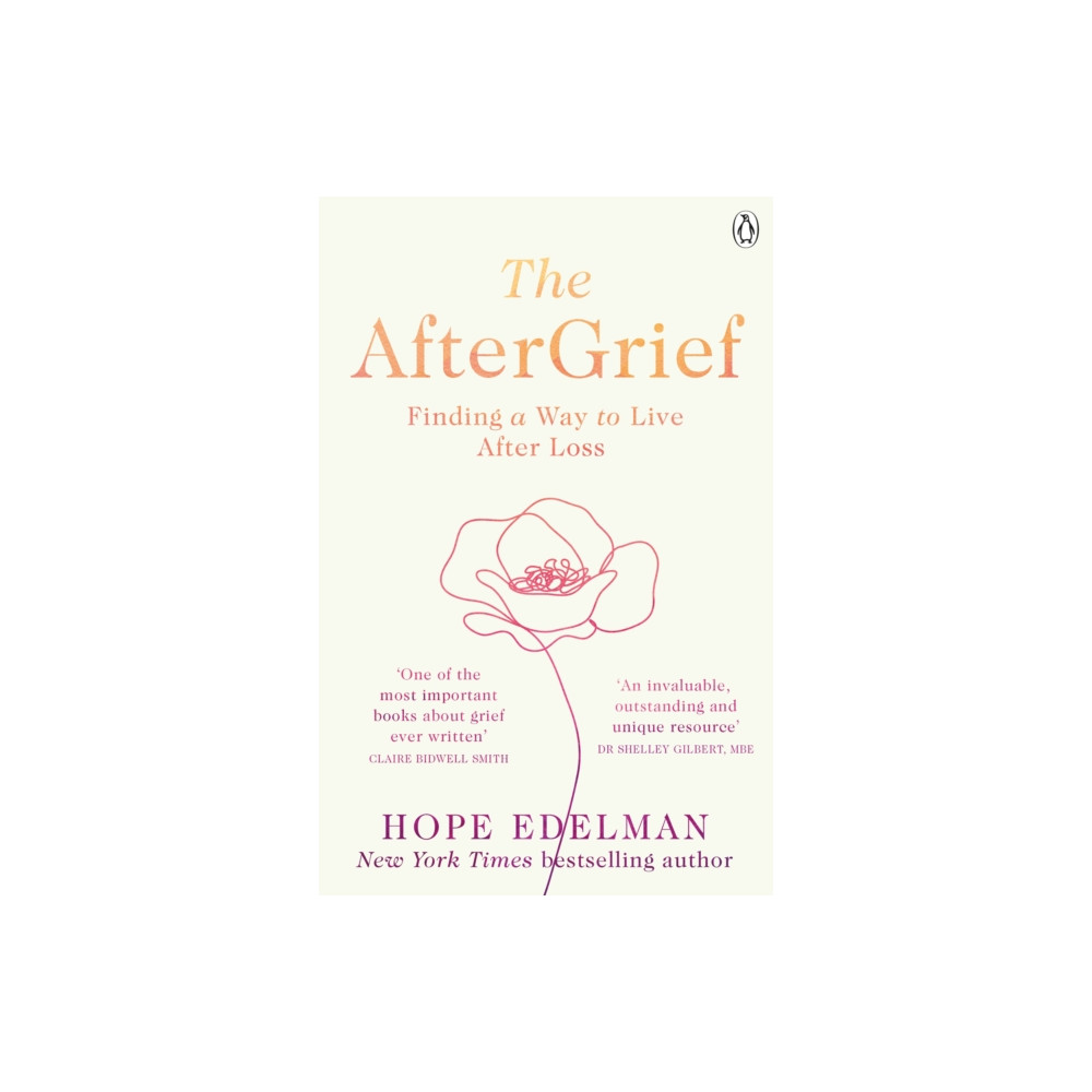 The AfterGrief (häftad, english) Penguin books ltd