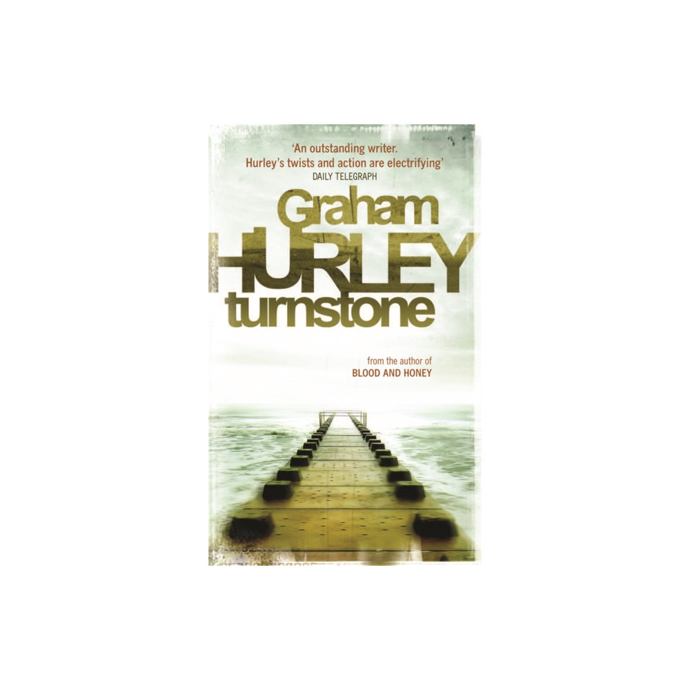 Turnstone (häftad, english) Orion Publishing Co