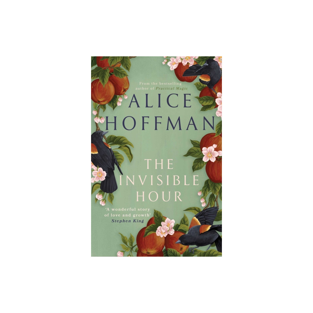 The Invisible Hour (inbunden, english) Simon & Schuster Ltd