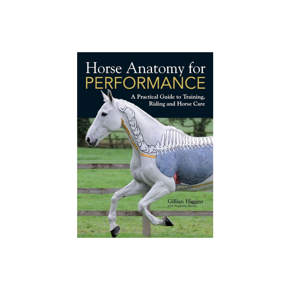 Horse Anatomy for Performance (inbunden, eng)