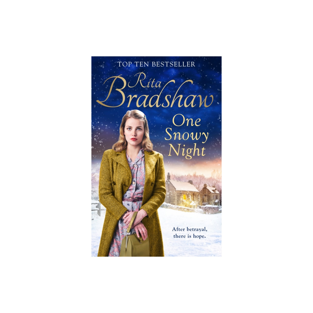 One Snowy Night (häftad, english) Pan Macmillan