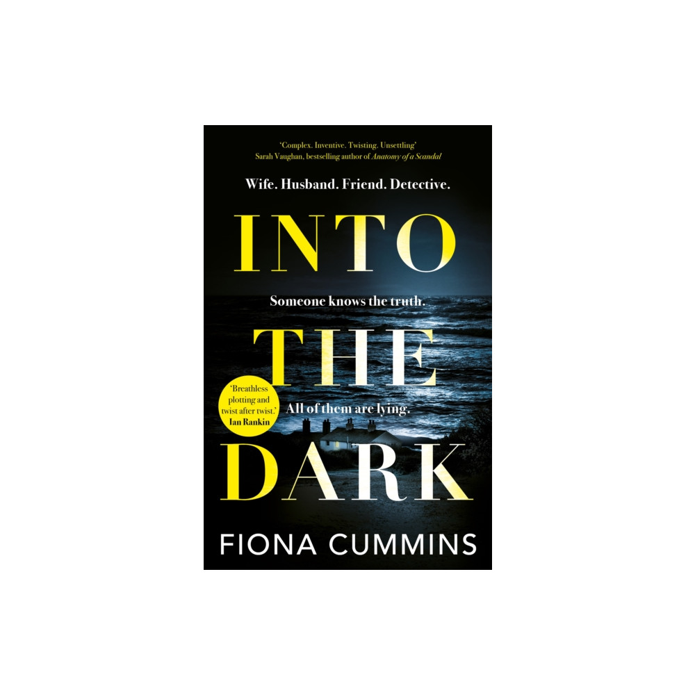 Into the Dark (inbunden, english) Pan Macmillan