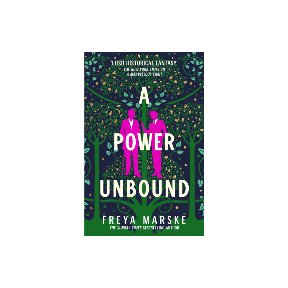 A Power Unbound (häftad, english) Pan Macmillan