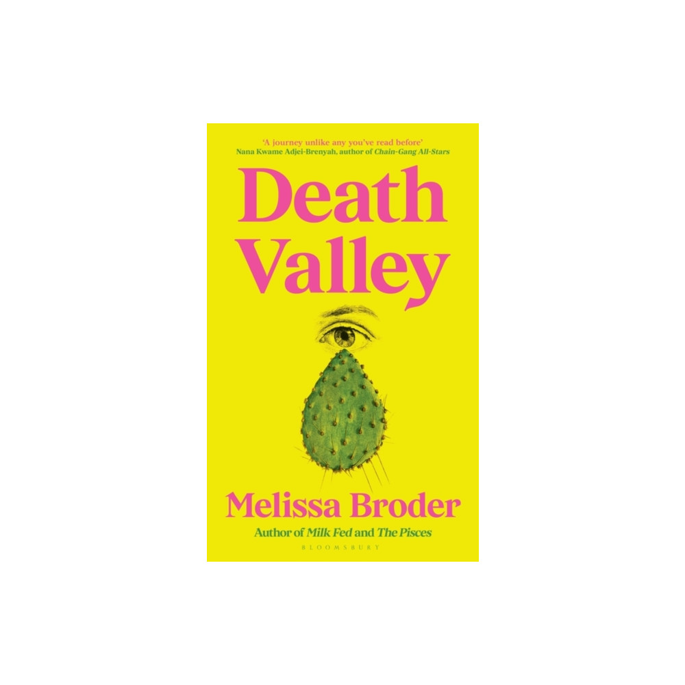 Death Valley (inbunden, english) Bloomsbury Publishing PLC