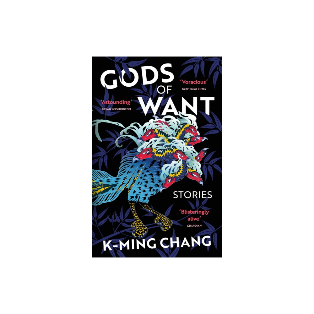 Gods of Want (häftad, english) Vintage Publishing