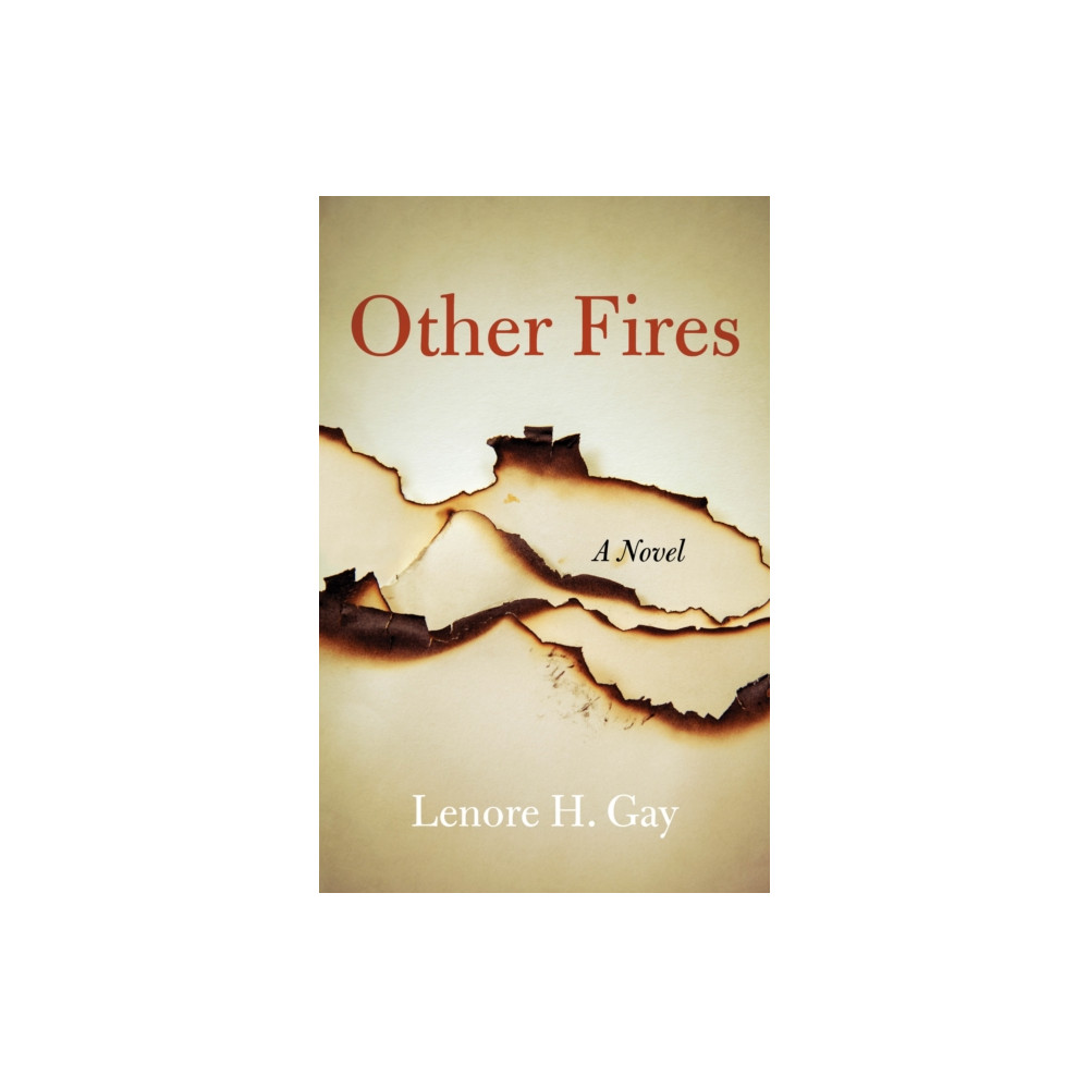 Other Fires (häftad, english) She Writes Press