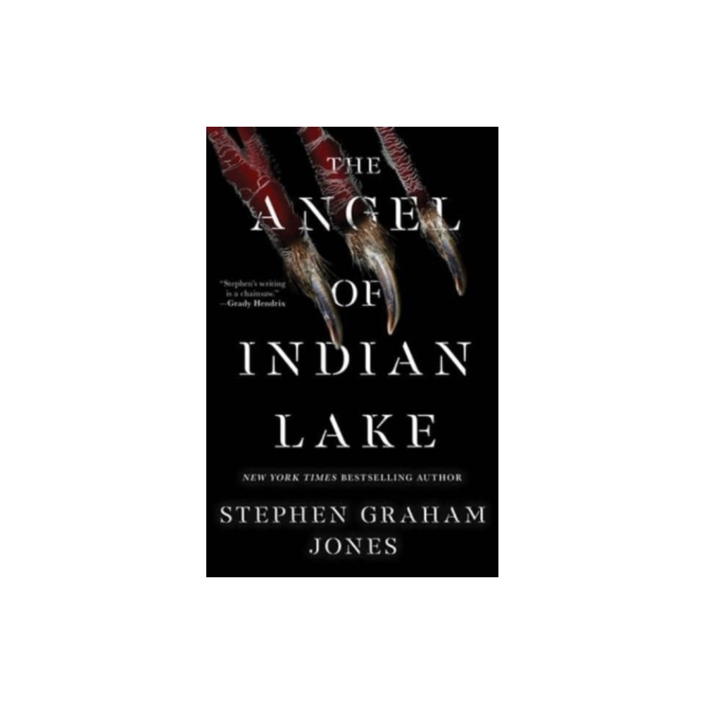 The Angel of Indian Lake (inbunden, english) S&S/Saga Press