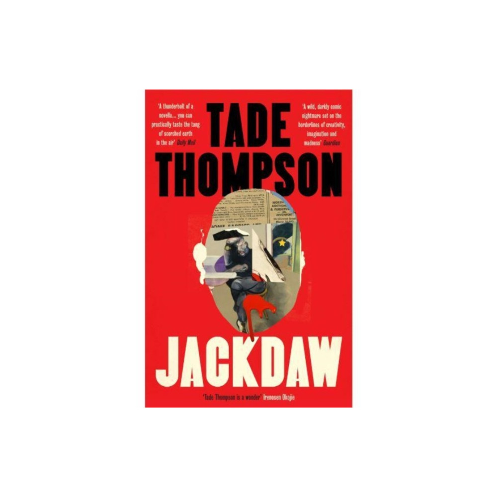 Jackdaw (häftad, english) CHEERIO Publishing