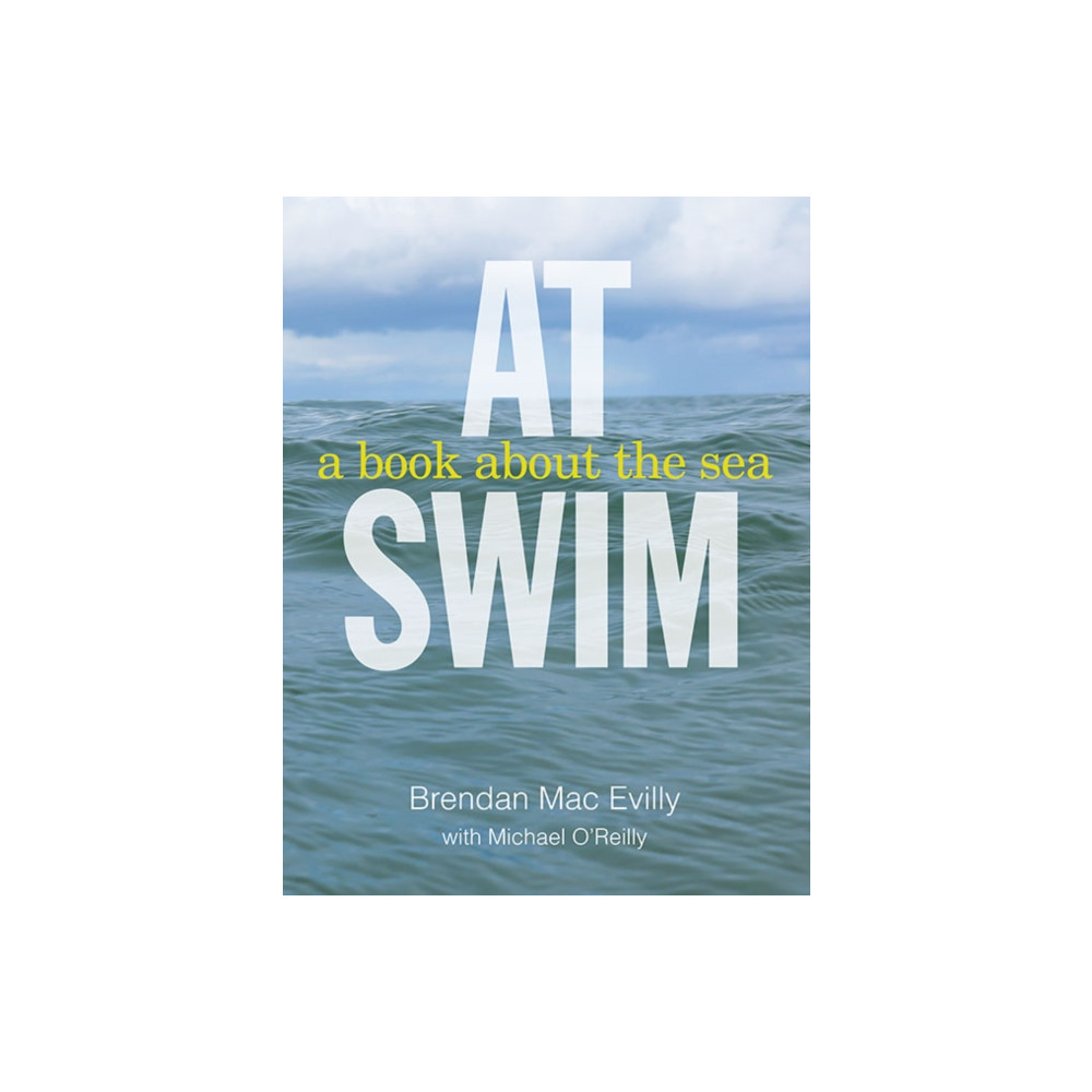 At Swim (häftad, english) Gill