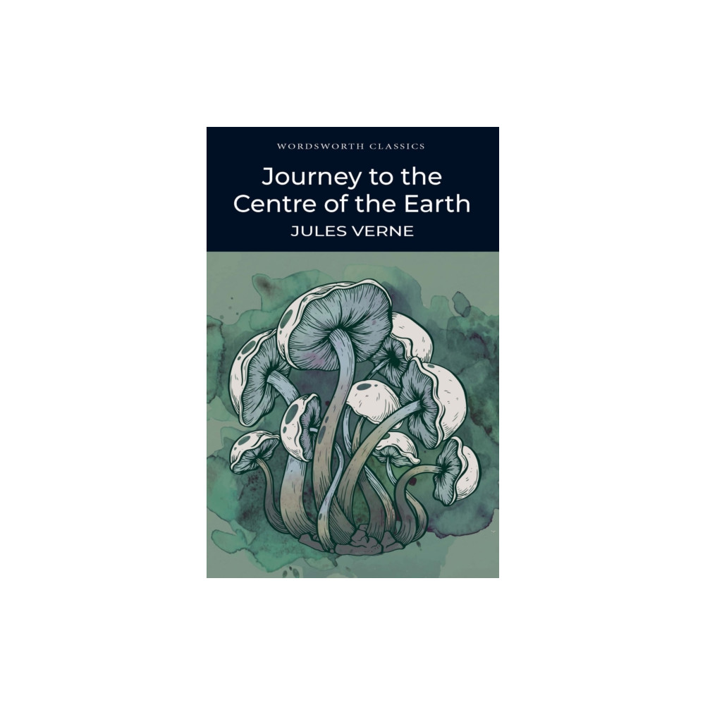 Journey to the Centre of the Earth (häftad, english) Wordsworth Editions Ltd
